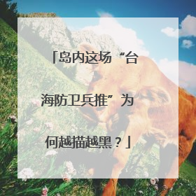 岛内这场“台海防卫兵推”为何越描越黑？