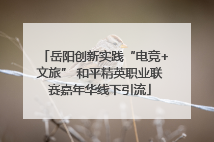 岳阳创新实践“电竞+文旅” 和平精英职业联赛嘉年华线下引流