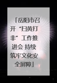 岳阳市召开“扫黄打非”工作推进会 持续筑牢文化安全屏障