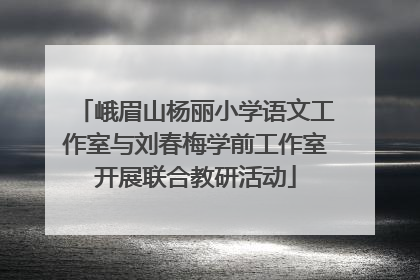 峨眉山杨丽小学语文工作室与刘春梅学前工作室开展联合教研活动