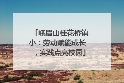 峨眉山桂花桥镇小：劳动赋能成长，实践点亮校园