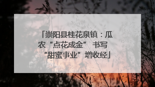 崇阳县桂花泉镇：瓜农“点花成金” 书写“甜蜜事业”增收经