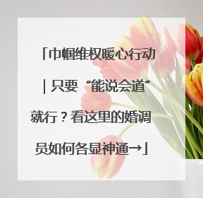 巾帼维权暖心行动｜只要“能说会道”就行？看这里的婚调员如何各显神通→