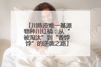 川陈皮唯一基源物种川红橘：从“被淘汰”到“香饽饽”的逆袭之路