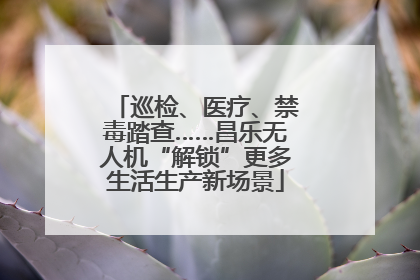 巡检、医疗、禁毒踏查……昌乐无人机“解锁”更多生活生产新场景
