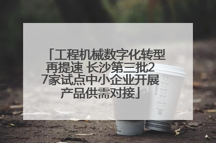 工程机械数字化转型再提速 长沙第三批27家试点中小企业开展产品供需对接
