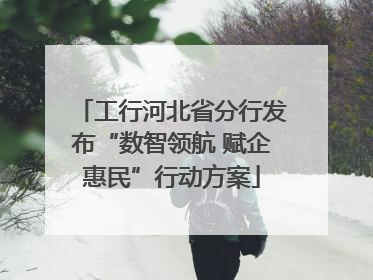 工行河北省分行发布“数智领航 赋企惠民”行动方案