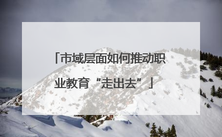 市域层面如何推动职业教育“走出去”