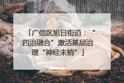 广信区旭日街道：“四治融合”激活基层治理“神经末梢”