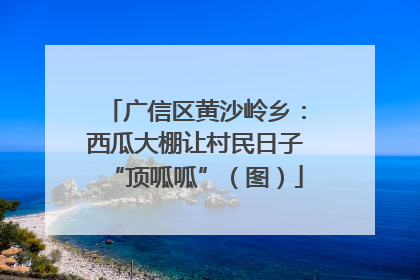 广信区黄沙岭乡：西瓜大棚让村民日子“顶呱呱”（图）