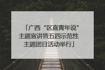 广西“区直青年说”主题宣讲暨五四示范性主题团日活动举行