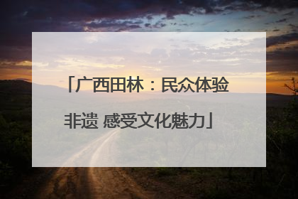广西田林：民众体验非遗 感受文化魅力