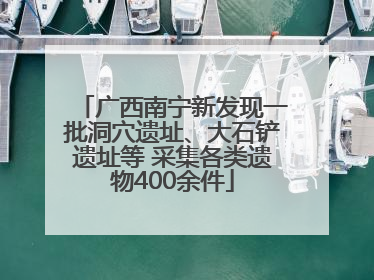 广西南宁新发现一批洞穴遗址、大石铲遗址等 采集各类遗物400余件