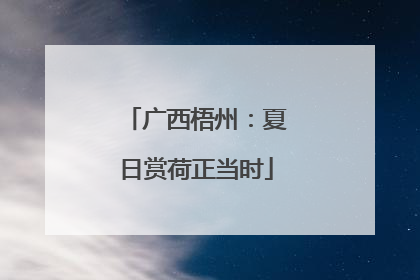广西梧州：夏日赏荷正当时