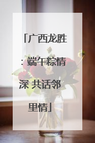 广西龙胜：端午粽情深 共话邻里情