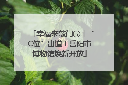 幸福来敲门⑤丨“C位”出道！岳阳市博物馆焕新开放