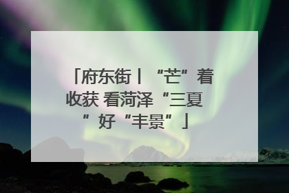 府东街丨“芒”着收获 看菏泽“三夏”好“丰景”