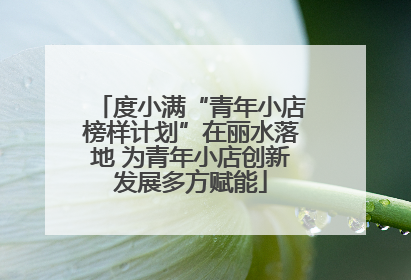 度小满“青年小店榜样计划”在丽水落地 为青年小店创新发展多方赋能