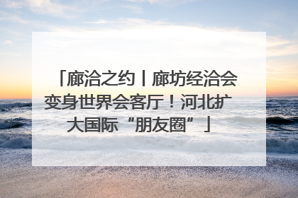 廊洽之约丨廊坊经洽会变身世界会客厅！河北扩大国际“朋友圈”