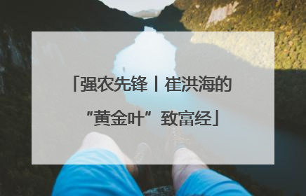 强农先锋丨崔洪海的“黄金叶”致富经