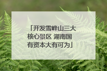 开发雪峰山三大核心景区 湖南国有资本大有可为