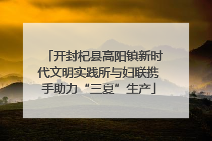 开封杞县高阳镇新时代文明实践所与妇联携手助力“三夏”生产