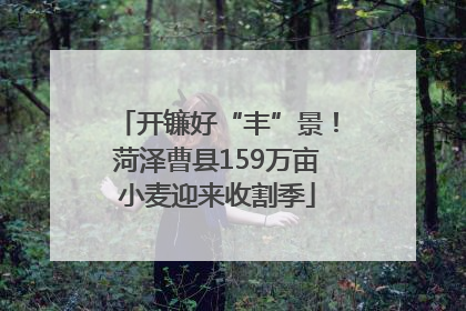 开镰好“丰”景！菏泽曹县159万亩小麦迎来收割季