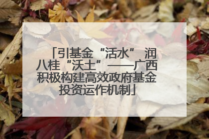引基金“活水” 润八桂“沃土”——广西积极构建高效政府基金投资运作机制