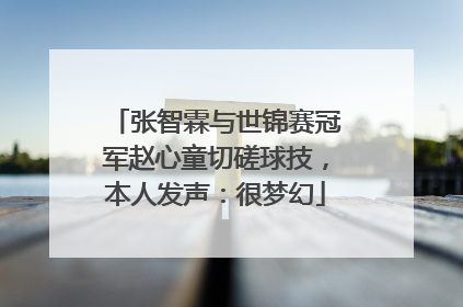 张智霖与世锦赛冠军赵心童切磋球技，本人发声：很梦幻