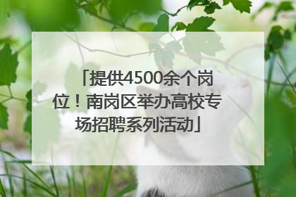 提供4500余个岗位！南岗区举办高校专场招聘系列活动