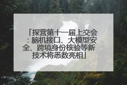 探营第十一届上交会：脑机接口、大模型安全、跨境身份核验等新技术将悉数亮相