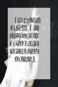 总台报道有反馈丨湖南两地采取行动打击洞庭湖违规钓鱼现象
