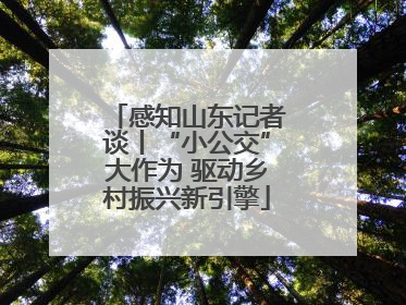 感知山东记者谈丨“小公交”大作为 驱动乡村振兴新引擎
