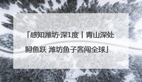 感知潍坊·深1度丨青山深处鲟鱼跃 潍坊鱼子酱闯全球