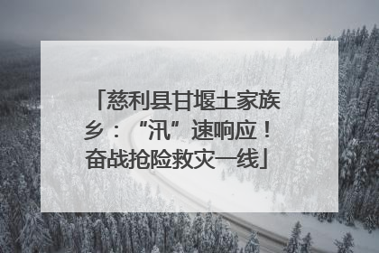 慈利县甘堰土家族乡：“汛”速响应！奋战抢险救灾一线