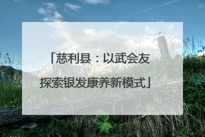 慈利县：以武会友 探索银发康养新模式