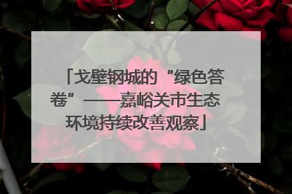 戈壁钢城的“绿色答卷”——嘉峪关市生态环境持续改善观察