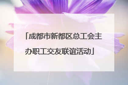 成都市新都区总工会主办职工交友联谊活动