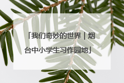 我们奇妙的世界｜烟台中小学生习作园地