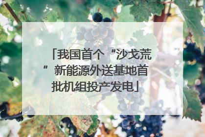 我国首个“沙戈荒”新能源外送基地首批机组投产发电