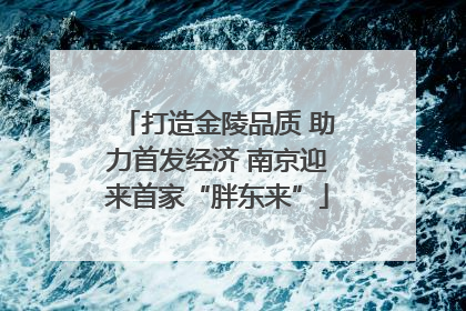 打造金陵品质 助力首发经济 南京迎来首家“胖东来”