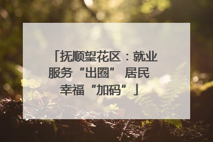 抚顺望花区：就业服务“出圈” 居民幸福“加码”