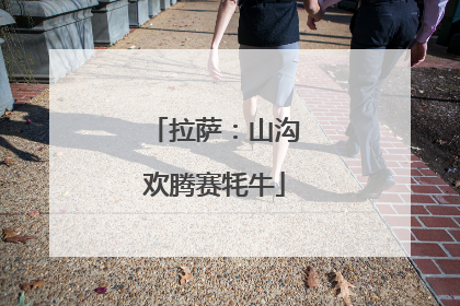 拉萨：山沟欢腾赛牦牛