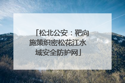松北公安：靶向施策织密松花江水域安全防护网