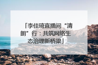 李佳琦直播间“清朗”行：共筑网络生态治理新桥梁