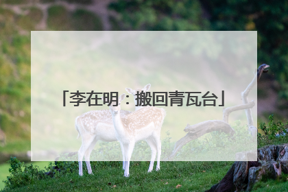 李在明：搬回青瓦台