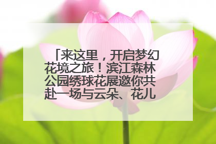 来这里，开启梦幻花境之旅！滨江森林公园绣球花展邀你共赴一场与云朵、花儿的浪漫之约