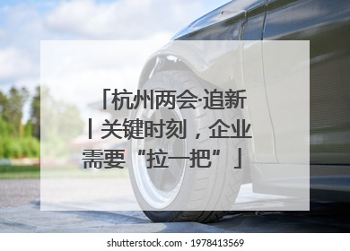 杭州两会·追新丨关键时刻，企业需要“拉一把”