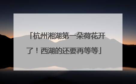 杭州湘湖第一朵荷花开了！西湖的还要再等等