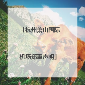 杭州萧山国际机场郑重声明